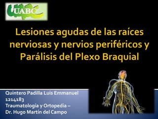 Quintero Padilla Luis Emmanuel
1214183
Traumatología y Ortopedia –
Dr. Hugo Martín del Campo
 