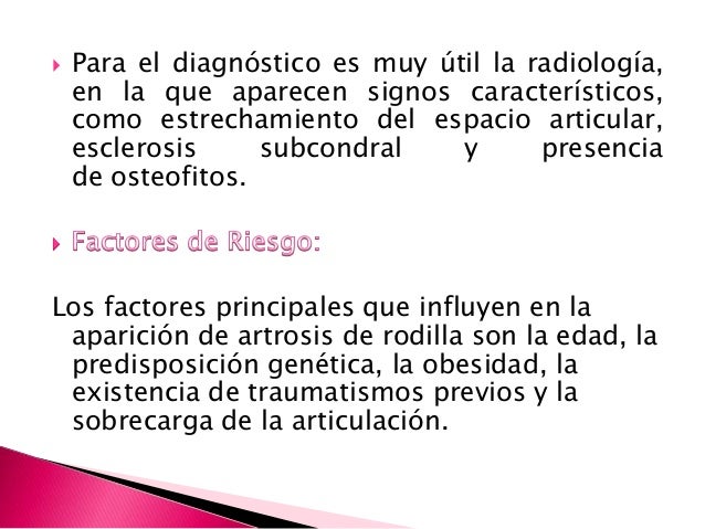 Los músculos interiores de la espalda del dolor