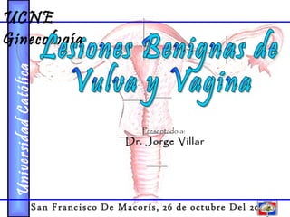 Universidad Católica Nordestana UCNE       Ginecología San Francisco De Macorís, 26 de octubre Del 2006 Lesiones Benignas de Vulva y Vagina   Presentado a: Dr. Jorge Villar 