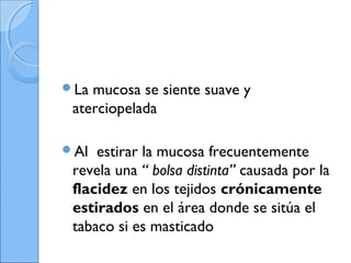 La mucosa se siente suave y
aterciopelada
Al estirar la mucosa frecuentemente
revela una “ bolsa distinta” causada por la
flacidez en los tejidos crónicamente
estirados en el área donde se sitúa el
tabaco si es masticado
 