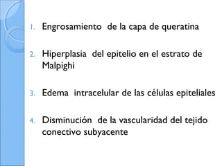1. Engrosamiento de la capa de queratina
2. Hiperplasia del epitelio en el estrato de
Malpighi
3. Edema intracelular de las células epiteliales
4. Disminución de la vascularidad del tejido
conectivo subyacente
 