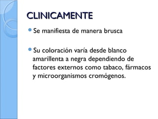 CLINICAMENTECLINICAMENTE
Se manifiesta de manera brusca
Su coloración varía desde blanco
amarillenta a negra dependiendo de
factores externos como tabaco, fármacos
y microorganismos cromógenos.
 