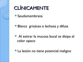CLÍNICAMENTECLÍNICAMENTE
Seudomembrana
Blanca grisácea o lechosa y difusa
 Al estirar la mucosa bucal se disipa el
color opaco
La lesión no tiene potencial maligno
 