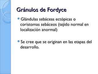 Gránulos de FordyceGránulos de Fordyce
Glándulas sebáceas ectópicas o
coristomas sebáceos (tejido normal en
localización anormal)
Se cree que se originan en las etapas del
desarrollo.
 