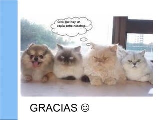 GRACIAS 
 