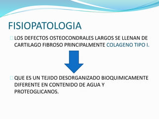 FISIOPATOLOGIA 
LOS DEFECTOS OSTEOCONDRALES LARGOS SE LLENAN DE 
CARTILAGO FIBROSO PRINCIPALMENTE COLAGENO TIPO I. 
QUE ES UN TEJIDO DESORGANIZADO BIOQUIMICAMENTE 
DIFERENTE EN CONTENIDO DE AGUA Y 
PROTEOGLICANOS. 
 