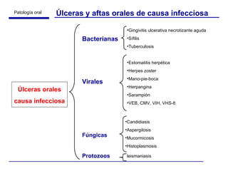 Úlceras y aftas orales de causa infecciosa Úlceras orales causa infecciosa Bacterianas Virales Fúngicas Protozoos Gingivitis ulcerativa necrotizante aguda Sífilis Tuberculosis Estomatitis herpética Herpes zoster Mano-pie-boca Herpangina Sarampión VEB, CMV, VIH, VHS-8 Candidiasis Aspergilosis Mucormicosis Histoplasmosis leismaniasis 