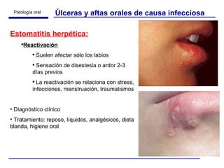 Úlceras y aftas orales de causa infecciosa Estomatitis herpética: Reactivación Suelen afectar sólo los labios Sensación de disestesia o ardor 2-3 días previos La reactivación se relaciona con stress, infecciones, menstruación, traumatismos Diagnóstico clínico Tratamiento: reposo, líquidos, analgésicos, dieta blanda, higiene oral  