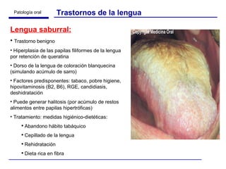 Lengua saburral: Trastorno benigno Hiperplasia de las papilas filiformes de la lengua por retención de queratina Dorso de la lengua de coloración blanquecina (simulando acúmulo de sarro) Factores predisponentes: tabaco, pobre higiene, hipovitaminosis (B2, B6), RGE, candidiasis, deshidratación Puede generar halitosis (por acúmulo de restos alimentos entre papilas hipertróficas) Tratamiento: medidas higiénico-dietéticas:  Abandono hábito tabáquico Cepillado de la lengua Rehidratación Dieta rica en fibra Trastornos de la lengua 