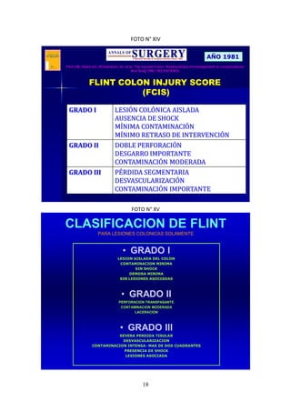 18
FOTO N° XIV
FLINT COLON INJURY SCORE
(FCIS)
GRADO I LESIÓN COLÓNICA AISLADA
AUSENCIA DE SHOCK
MÍNIMA CONTAMINACIÓN
MÍNIMO RETRASO DE INTERVENCIÓN
GRADO II DOBLE PERFORACIÓN
DESGARRO IMPORTANTE
CONTAMINACIÓN MODERADA
GRADO III PÉRDIDA SEGMENTARIA
DESVASCULARIZACIÓN
CONTAMINACIÓN IMPORTANTE
Flint LM, Vitale GC, Richardson JD, et al. The injured Colon. Relationships of management to complications.
Ann Surg 1981;193;5:619-623.
AÑO 1981
FOTO N° XV
CLASIFICACION DE FLINT
PARA LESIONES COLONICAS SOLAMENTE
• GRADO I
LESION AISLADA DEL COLON
CONTAMINACION MINIMA
SIN SHOCK
DEMORA MINIMA
SIN LESIONES ASOCIADAS
• GRADO II
PERFORACION TRANSPASANTE
CONTAMINACION MODERADA
LACERACION
• GRADO III
SEVERA PERDIDA TISULAR
DESVASCULARIZACION
CONTAMINACION INTENSA- MAS DE DOS CUADRANTES
PRESENCIA DE SHOCK
LESIONES ASOCIADA
 