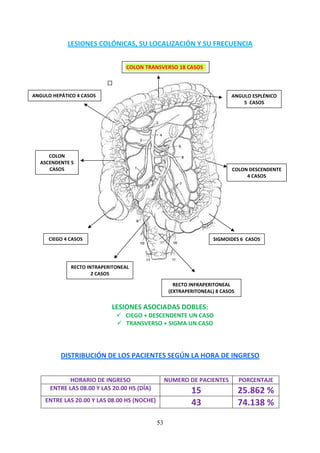 53
LESIONES COLÓNICAS, SU LOCALIZACIÓN Y SU FRECUENCIA
LESIONES ASOCIADAS DOBLES:
CIEGO + DESCENDENTE UN CASO
TRANSVERSO + SIGMA UN CASO
DISTRIBUCIÓN DE LOS PACIENTES SEGÚN LA HORA DE INGRESO
HORARIO DE INGRESO NUMERO DE PACIENTES PORCENTAJE
ENTRE LAS 08.00 Y LAS 20.00 HS (DÍA) 15 25.862 %
ENTRE LAS 20.00 Y LAS 08.00 HS (NOCHE) 43 74.138 %
CIEGO 4 CASOS
COLON
ASCENDENTE 5
CASOS
ANGULO HEPÁTICO 4 CASOS
COLON TRANSVERSO 18 CASOS
ANGULO ESPLÉNICO
5 CASOS
COLON DESCENDENTE
4 CASOS
SIGMOIDES 6 CASOS
RECTO INTRAPERITONEAL
2 CASOS
RECTO INFRAPERITONEAL
(EXTRAPERITONEAL) 8 CASOS
 
