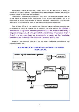74
Colostomías y fistulas mucosas a lo LAHEY o técnica a lo HARTMANN. No se intento en
ningún caso, la sutura primaria, como gesto único, remarcándose la limpieza mecánica del
cabo distal antes de concluir el procedimiento.
Esta conducta, mucho más conservadora, dista de la corriente que propone tratar de
suturar todas las lesiones supra peritoneales y aun las infra peritoneales, con o sin
colostomías de protección, colocación de drenajes perineales y abdominales. En la serie que
se presenta, en ninguno de los casos, se practicaron estas conductas sugeridas.
Creo, al llegar al final de este trabajo, que si bien no hay normativas o protocolos que
estandaricen las conductas de este tipo de pacientes, con estas lesiones, las tácticas y
técnicas que se siguieron, se asemejan mucho (SI BIEN, NO SON EXACTAS), a
las propuestas por la A.S.C.R.S. (Sociedad Americana de Cirujanos de Colon y
Recto) y a sus algoritmos de tratamiento, y varias de las conductas
propuestas por la revisión de conjunto de Cazador-Codina y cols.
Respecto a los algoritmos de la A.S.C.R.S., me parece pertinente exponerlos en este
momento una vez más.
ALGORITMO DE TRATAMIENTO PARA LESIONES DEL COLON
DE LA A.S.C.R.S.
 