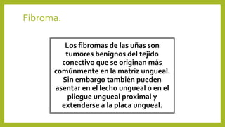 Fibroma.
Los fibromas de las uñas son
tumores benignos del tejido
conectivo que se originan más
comúnmente en la matriz ungueal.
Sin embargo también pueden
asentar en el lecho ungueal o en el
pliegue ungueal proximal y
extenderse a la placa ungueal.
 