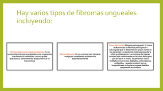 Hay varios tipos de fibromas ungueales
incluyendo:
Fibroqueratoma periungueal adquirido. Es un
tumor adquirido que se presenta como un pequeño
crecimiento o carnosidad con una punta
queratósica. Generalmente es secundario a un
trauma local
Dermatofibroma. Es un un tumor con forma de
arveja que usualmente se desarrolla
espontáneamente
Tumor de Koenen (fibroma periungueal). El tumor
de Koenen es un fibroma periungueal o
subungueal que se desarrolla en 50 por ciento de
los pacientes con esclerosis tuberosa durante la
niñez y adolescencia. Los tumores de Koenen
ocurren más comúnmente en las uñas de los pies
que en las de la mano. Se presentan como
múltiples crecimientos digitados, eritematosos,
polipoides, y pueden producir surcos
longitudinales en la placa ungueal debido a
compresión de la matriz
 