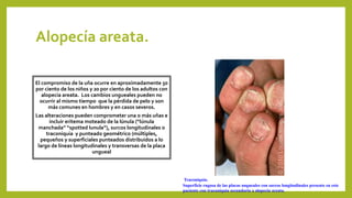 Alopecía areata.
El compromiso de la uña ocurre en aproximadamente 50
por ciento de los niños y 20 por ciento de los adultos con
alopecia areata. Los cambios ungueales pueden no
ocurrir al mismo tiempo que la pérdida de pelo y son
más comunes en hombres y en casos severos.
Las alteraciones pueden comprometer una o más uñas e
incluir eritema moteado de la lúnula (“lúnula
manchada” “spotted lunula”), surcos longitudinales o
traconiquia y punteado geométrico (múltiples,
pequeños y superficiales punteados distribuidos a lo
largo de líneas longitudinales y transversas de la placa
ungueal
Traconiquia.
Superficie rugosa de las placas ungueales con surcos longitudinales presents en este
paciente con traconiquia secundaria a alopecia areata.
 