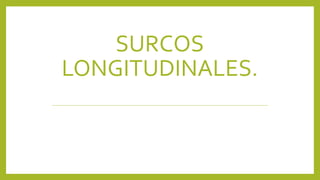 SURCOS
LONGITUDINALES.
 