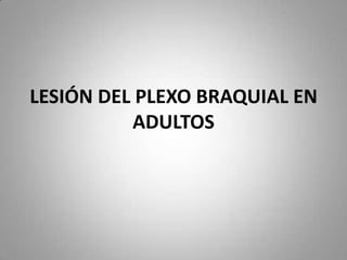 (2013-02-05)Lesiones del plexo braquial en adulto (ppt)