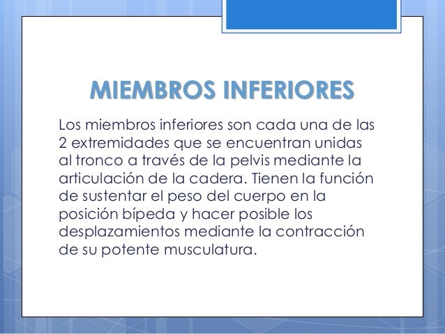 Muchos pequeños granos blancos sobre el miembro