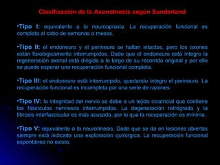 Clasificación de la Axonotnesis según Sunderland Tipo I:  equivalente a la neuroapraxia. La recuperación funcional es completa al cabo de semanas o meses.  Tipo II:  el endoneuro y el perineuro se hallan intactos, pero los axones están fisiológicamente interrumpidos. Dado que el endoneuro está íntegro la regeneración axonal está dirigida a lo largo de su recorrido original y por ello se puede esperar una recuperación funcional completa.  Tipo III:  el endoneuro está interrumpido, quedando íntegro el perineuro. La recuperación funcional es incompleta por una serie de razones: Tipo IV:  la integridad del nervio se debe a un tejido cicatricial que contiene los fascículos nerviosos interrumpidos. La degeneración retrógrada y la fibrosis interfascicular es más acusada, por lo que la recuperación es mínima.  Tipo V:  equivalente a la neurotmesis. Dado que se da en lesiones abiertas siempre está indicada una exploración quirúrgica. La recuperación funcional espontánea no existe. 