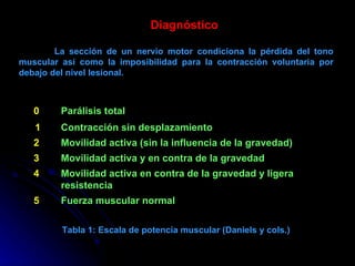     Diagnóstico La sección de un nervio motor condiciona la pérdida del tono muscular así como la imposibilidad para la contracción voluntaria por debajo del nivel lesional.  Tabla 1: Escala de potencia muscular (Daniels y cols.) Fuerza muscular normal 5  Movilidad activa en contra de la gravedad y ligera resistencia 4  Movilidad activa y en contra de la gravedad 3  Movilidad activa (sin la influencia de la gravedad) 2  Contracción sin desplazamiento 1 Parálisis total 0  