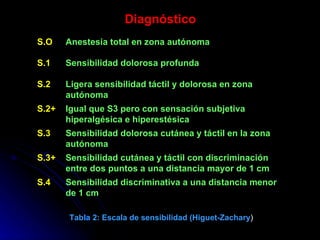 Tabla 2: Escala de sensibilidad (Higuet-Zachary )    Diagnóstico Sensibilidad discriminativa a una distancia menor de 1 cm S.4 Sensibilidad cutánea y táctil con discriminación entre dos puntos a una distancia mayor de 1 cm S.3+ Sensibilidad dolorosa cutánea y táctil en la zona autónoma S.3 Igual que S3 pero con sensación subjetiva hiperalgésica e hiperestésica S.2+ Ligera sensibilidad táctil y dolorosa en zona autónoma S.2 Sensibilidad dolorosa profunda S.1 Anestesia total en zona autónoma S.O 