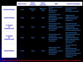 Tabla 3: Clasificación anatomoclínica de las lesiones de los nervios periféricos (Seddon y Sunderland)  Sección total del nervio: desmielinización Interrupción del axón Interrupción de estructuras conectivas Atrofia muscular progresiva Interrupción de la conducción Fibrilación en reposo No actividad voluntaria Total Total Total NEUROTMESIS Desmielinización Interrupción del axón Degeneración walleriana del axón Rotura del perineuro Fibrosis intra y perineural Interrupción de la conducción Fibrilación en reposo No actividad voluntaria Total Total Total 4º GRADO DE SUNDERLAND Desmielinización Interrupción del axón Degeneración walleriana del axón Fibrosis intrafascicular Interrupción de la conducción Fibrilación en reposo No actividad voluntaria Total Total Total 3º GRADO DE SUNDERLAND Degeneración walleriana del axón Atrofia muscular progresiva Interrupción de la conducción Fibrilación en reposo No actividad voluntaria Total Total Total AXONOTMESIS Desmielinización selectiva No atrofia muscular Persiste conducción distal No actividad voluntaria Mínimo o nulo Mínimo o nulo Total NEUROAPRAXIA Anatomía Patológica EMG Déficit vegetativo Déficit sensitivo Déficit motor     