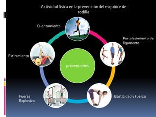 prevenciones
Actividad física en la prevención del esguince de
rodilla
Estiramiento
Calentamiento
Fortalecimiento de
ligamento
Elasticidad y FuerzaFuerza
Explosiva
 
