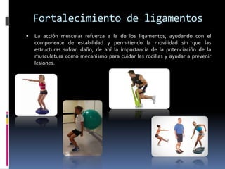Fortalecimiento de ligamentos
 La acción muscular refuerza a la de los ligamentos, ayudando con el
componente de estabilidad y permitiendo la movilidad sin que las
estructuras sufran daño, de ahí la importancia de la potenciación de la
musculatura como mecanismo para cuidar las rodillas y ayudar a prevenir
lesiones.
 
