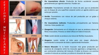 L
E
S
I
O
N
E
S
M
U
S
C
U
L
A
R
E
S
• Por traumatismo directo: Producida de forma accidental causada
generalmente por agentes externos. Pueden ser:
➢ Contusión: Traumatismo cerrado sin rotura de piel, que es producido
por el choque de una superficie corporal contra un agente externo que
actúa por presión.
➢ Herida: Traumatismo con rotura de piel producida por un golpe o
choque violento.
• Por traumatismo indirecto: Producidas principalmente por factores
internos. Estas pueden ser:
➢ Elongación: Estiramiento en el músculo sin que se produzca rotura de
fibras musculares. Provoca un dolor difuso en todo el músculo.
➢ Tirón: Lesión donde se produce una rotura de fibrillas musculares.
➢ Desgarro: Lesión similar al tirón pero con mayor afectación,
aumentando la sensación de dolor y apareciendo hinchazón.
➢ Rotura Muscular: Es la lesión muscular más grave producida por
ausencia de sinergismo entre los músculos agonistas y antagonistas, o
por contracción extremas del músculo. El dolor es brusco y se acentúa
cuando el músculo se contrae y se alivia en situación de reposo.
(Contusión) (Herida)
(Elongación) (Tirón)
(Desgarro) (Rotura Muscular)
 