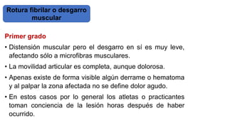 Primer grado
• Distensión muscular pero el desgarro en sí es muy leve,
afectando sólo a microfibras musculares.
• La movilidad articular es completa, aunque dolorosa.
• Apenas existe de forma visible algún derrame o hematoma
y al palpar la zona afectada no se define dolor agudo.
• En estos casos por lo general los atletas o practicantes
toman conciencia de la lesión horas después de haber
ocurrido.
Rotura fibrilar o desgarro
muscular
 