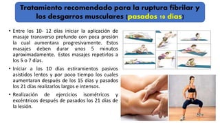 • Entre los 10- 12 días iniciar la aplicación de
masaje transverso profundo con poca presión
la cual aumentara progresivamente. Estos
masajes deben durar unos 5 minutos
aproximadamente. Estos masajes repetirlos a
los 5 o 7 días.
• Iniciar a los 10 días estiramientos pasivos
asistidos lentos y por poco tiempo los cuales
aumentaran después de los 15 días y pasados
los 21 días realizarlos largos e intensos.
• Realización de ejercicios isométricos y
excéntricos después de pasados los 21 días de
la lesión.
Tratamiento recomendado para la ruptura fibrilar y
los desgarros musculares (pasados 10 días)
 