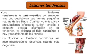 • Las lesiones
tendinosas o tendinopatías se producen
tras una sobrecarga que genera pequeñas
roturas de las fibras. Cuando los músculos y
articulaciones afectados sufren tensión o
esfuerzo, genera inflamación en los
tendones, se dificulta el flujo sanguíneo o
hay atrapamiento de los nervios.
• Se clasifican en tendinitis cuando es una
leve inflamación o tendinosis cuando esta
degenera.
Lesiones tendinosas
 