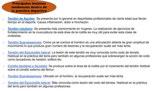  Tendón de Aquiles: Se presenta por lo general en deportistas profesionales de cierta edad que llevan
tiempo en el deporte. Causa inflamación, dolor e hinchazón.
 Tendón rotuliano: Se presenta más comúnmente en mujeres. La realización de ejercicios de
fortalecimiento en la musculatura de esta área de la rodilla es muy útil para evitar esta clase de
molestias.
 Tendón Supraespinoso: Como ya se conoce el hombro es una articulación abierta de gran amplitud de
movimiento lo que produce gran numero de lesiones y la recuperación suele ser más lenta.
 Tendón del Epicóndilo lateral: La lesión de este tendón es muy conocida como codo de tenista.
Habitual en la práctica del tenis pero también en algunas profesiones que sobrecargan la acción de codo
como lanzadores de beisbol, softbol etc.
 Cintilla ileotibial o facialata: Se produce sobre el área de la rodilla por el rozamiento del tendón iliotibial
sobre el cóndilo externo del fémur.
 Tendón Supraespinoso: Ubicado en el hombro, la recuperación suele ser más lenta.
 Tendón del Epicóndilo lateral: Más conocida como lesión del codo del tenista. Habitual en la práctica
del tenis pero también en algunas profesiones.
Principales lesiones
tendinosas dentro de
la practica deportiva
 