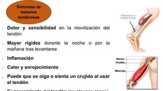  Dolor y sensibilidad en la movilización del
tendón
 Mayor rigidez durante la noche o por la
mañana tras levantarse
 Inflamación
 Calor y enrojecimiento
 Puede que se oiga o sienta un crujido al usar
el tendón
Síntomas de
lesiones
tendinosas
 