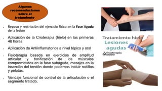  Reposo y restricción del ejercicio físico en la Fase Aguda
de la lesión
 Aplicación de la Crioterapia (hielo) en las primeras
48 horas
 Aplicación de Antiinflamatorios a nivel tópico y oral
 Fisioterapia basada en ejercicios de amplitud
articular y tonificación de los músculos
comprometidos en la fase subaguda, masajes en la
inserción del tendón donde podemos incluir rodillos
y pelotas.
 Vendaje funcional de control de la articulación o el
segmento tratado.
Algunas
recomendaciones
sobre el
tratamiento.
 