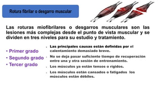 Las roturas miofibrilares o desgarros musculares son las
lesiones más complejas desde el punto de vista muscular y se
dividen en tres niveles para su estudio y tratamiento.
• Primer grado
• Segundo grado
• Tercer grado
 Las principales causas están definidas por el
calentamiento demasiado breve.
 No se deja pasar suficiente tiempo de recuperación
entre una y otra sesión de entrenamiento.
 Los músculos ya están tensos o rígidos.
 Los músculos están cansados o fatigados los
músculos están débiles.
 