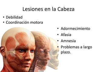Lesiones en la Cabeza 
• Adormecimiento 
• Afasia 
• Amnesia 
• Problemas a largo 
plazo. 
• Debilidad 
• Coordinación motora 
 