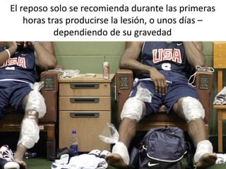 El reposo solo se recomienda durante las primeras 
horas tras producirse la lesión, o unos días – 
dependiendo de su gravedad 
 
