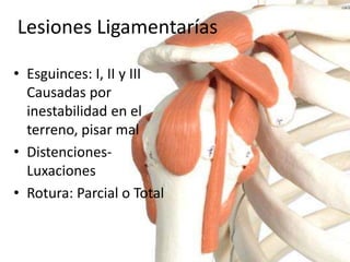 Lesiones Ligamentarías 
• Esguinces: I, II y III 
Causadas por 
inestabilidad en el 
terreno, pisar mal 
• Distenciones- 
Luxaciones 
• Rotura: Parcial o Total 
 