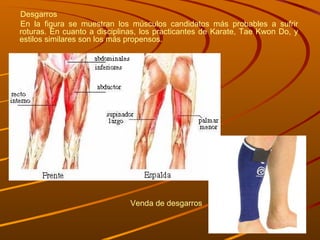 Desgarros  En la figura se muestran los músculos candidatos más probables a sufrir roturas. En cuanto a disciplinas, los practicantes de Karate, Tae Kwon Do, y estilos similares son los más propensos. Venda de desgarros  