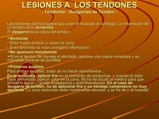 LESIONES A  LOS TENDONES - Tendinitis - Desgarros de Tendón - Los tendones son los tejidos que unen el músculo al cartílago. La inflamación de un tendón es la  tendinitis . El  desgarro   es la rotura del tendón.  Síntomas - Dolor fuerte al tocar o mover la zona . - Si es tendinitis se nota una ligera inflamación.  No aparecen hematomas Si es el tendón de Aquiles el afectado, aparece una cojera inmediata y es imposible ponerse de puntillas. Primeros auxilios. Para ambas lesiones: tratar de no hacer movimientos . En la tendinitis, aplicar frío  en el momento de producirse, y cuando el dolor haya disminuido, aplicar calor en la zona. Se ha de acudir al médico para que evalúe la lesión y recete analgésicos y antiinflamatorios.  En el caso de desgarro de tendón, ha de aplicarse frío y un vendaje compresivo no muy apretado . La zona lesionada debe mantenerse elevada. y se ha de ir al hospital. 