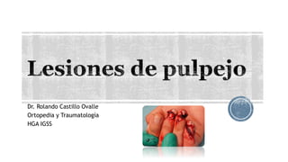 Dr. Rolando Castillo Ovalle
Ortopedia y Traumatología
HGA IGSS
 
