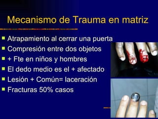 Mecanismo de Trauma en matriz
   Atrapamiento al cerrar una puerta
   Compresión entre dos objetos
   + Fte en niños y hombres
   El dedo medio es el + afectado
   Lesión + Común= laceración
   Fracturas 50% casos
 