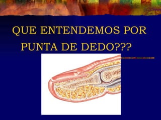 QUE ENTENDEMOS POR
 PUNTA DE DEDO???
 