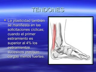 TTEENNDDOONNEESS 
 LLaa ppllaassttiicciiddaadd ttaammbbiiéénn 
ssee mmaanniiffiieessttaa eenn llaass 
ssoolliicciittaacciioonneess ccíícclliiccaass;; 
ccuuaannddoo eell pprriimmeerr 
eessttiirraammiieennttoo eess 
ssuuppeerriioorr aall 44%% llooss 
eessttiirraammiieennttooss 
ssuucceessiivvooss pprreecciissaann 
ccaarrggaass mmeennooss ffuueerrtteess.. 
 