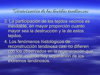Cicatrización ddee llaass hheerriiddaass tteennddiinnoossaass 
33.. LLaa ppaarrttiicciippaacciióónn ddee llooss tteejjiiddooss vveecciinnooss eess 
iinneevviittaabbllee,, eenn mmaayyoorr pprrooppoorrcciióónn ccuuaannttoo 
mmaayyoorr sseeaa llaa ddeessttrruucccciióónn yy llaa ddee eessttooss 
tteejjiiddooss.. 
44.. LLooss ffeennóómmeennooss hhiissttoollóóggiiccooss ddee 
rreeccoonnssttrruucccciióónn tteennddiinnoossaa ccaassii nnoo ddiiffiieerreenn 
ccoonn llooss oobbsseerrvvaaddooss eenn llaa rreeggeenneerraacciióónn qquuee 
ssuucceeddee ccuuaannddoo hhaayy sseeppaarraacciióónn ddee llooss 
eexxttrreemmooss tteennddiinnoossooss.. 
 