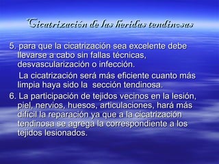 Cicatrización ddee llaass hheerriiddaass tteennddiinnoossaass 
55.. ppaarraa qquuee llaa cciiccaattrriizzaacciióónn sseeaa eexxcceelleennttee ddeebbee 
lllleevvaarrssee aa ccaabboo ssiinn ffaallllaass ttééccnniiccaass,, 
ddeessvvaassccuullaarriizzaacciióónn oo iinnffeecccciióónn.. 
LLaa cciiccaattrriizzaacciióónn sseerráá mmááss eeffiicciieennttee ccuuaannttoo mmááss 
lliimmppiiaa hhaayyaa ssiiddoo llaa sseecccciióónn tteennddiinnoossaa.. 
66.. LLaa ppaarrttiicciippaacciióónn ddee tteejjiiddooss vveecciinnooss eenn llaa lleessiióónn,, 
ppiieell,, nneerrvviiooss,, hhuueessooss,, aarrttiiccuullaacciioonneess,, hhaarráá mmááss 
ddiiffíícciill llaa rreeppaarraacciióónn yyaa qquuee aa llaa cciiccaattrriizzaacciióónn 
tteennddiinnoossaa ssee aaggrreeggaa llaa ccoorrrreessppoonnddiieennttee aa llooss 
tteejjiiddooss lleessiioonnaaddooss.. 
 