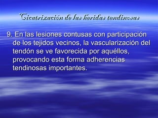 Cicatrización ddee llaass hheerriiddaass tteennddiinnoossaass 
99.. EEnn llaass lleessiioonneess ccoonnttuussaass ccoonn ppaarrttiicciippaacciióónn 
ddee llooss tteejjiiddooss vveecciinnooss,, llaa vvaassccuullaarriizzaacciióónn ddeell 
tteennddóónn ssee vvee ffaavvoorreecciiddaa ppoorr aaqquuééllllooss,, 
pprroovvooccaannddoo eessttaa ffoorrmmaa aaddhheerreenncciiaass 
tteennddiinnoossaass iimmppoorrttaanntteess.. 
 