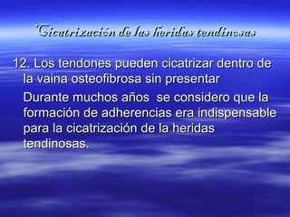 Cicatrización ddee llaass hheerriiddaass tteennddiinnoossaass 
1122.. LLooss tteennddoonneess ppuueeddeenn cciiccaattrriizzaarr ddeennttrroo ddee 
llaa vvaaiinnaa oosstteeooffiibbrroossaa ssiinn pprreesseennttaarr 
DDuurraannttee mmuucchhooss aaññooss ssee ccoonnssiiddeerroo qquuee llaa 
ffoorrmmaacciióónn ddee aaddhheerreenncciiaass eerraa iinnddiissppeennssaabbllee 
ppaarraa llaa cciiccaattrriizzaacciióónn ddee llaa hheerriiddaass 
tteennddiinnoossaass.. 
 