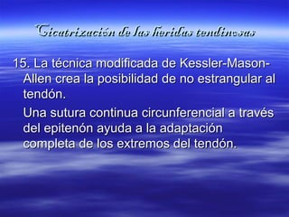 Cicatrización ddee llaass hheerriiddaass tteennddiinnoossaass 
1155.. LLaa ttééccnniiccaa mmooddiiffiiccaaddaa ddee KKeesssslleerr--MMaassoonn-- 
AAlllleenn ccrreeaa llaa ppoossiibbiilliiddaadd ddee nnoo eessttrraanngguullaarr aall 
tteennddóónn.. 
UUnnaa ssuuttuurraa ccoonnttiinnuuaa cciirrccuunnffeerreenncciiaall aa ttrraavvééss 
ddeell eeppiitteennóónn aayyuuddaa aa llaa aaddaappttaacciióónn 
ccoommpplleettaa ddee llooss eexxttrreemmooss ddeell tteennddóónn.. 
 